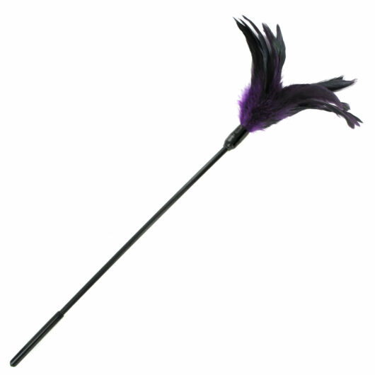 Sportsheets - pero s dlhým držadlom (fialovo-čierne)