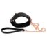 Obraz 5/11 - Bad Kitty - metal leash (black-rosegold)