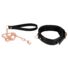 Obraz 6/11 - Bad Kitty - metal leash (black-rosegold)