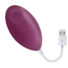 Obraz 6/9 - ENGILY ROSS GARLAND 2.0 VIBRATING EGG REMOTE CONTROL USB INJECTED LIQUIFIED SILICONE