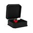 Obraz 2/4 - RIMBA - BUTT PLUG XS WITH RED CRISTAL (UNISEX)